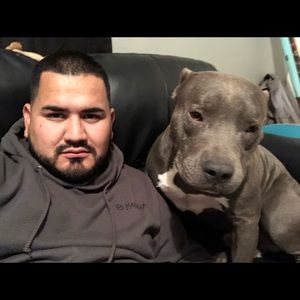 Meet your Posher, Ricardo